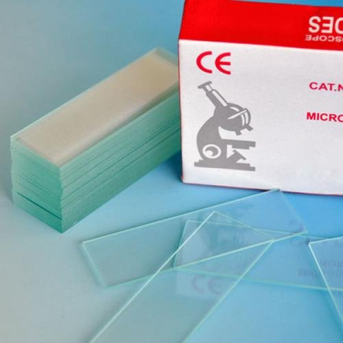 lame porte objet Bord coupée