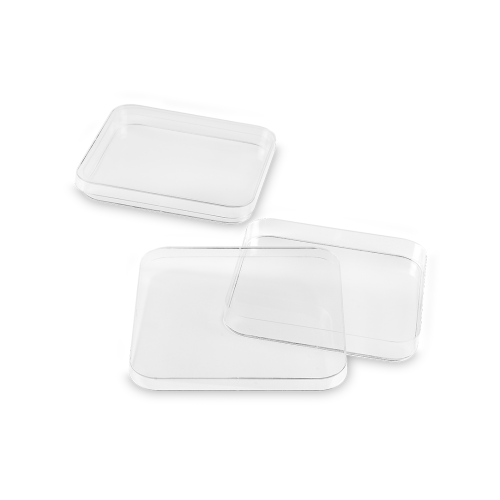 Boite Petrie carré 120*120 mm en plastique