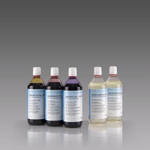 kit gram Biognost 5*250 ml