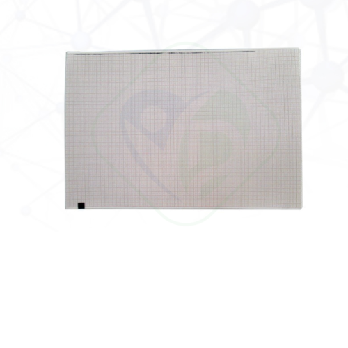 Rame papier ECG 210*295 mm